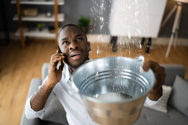 Best Emergency water damage restoration  in Glencoe, MN