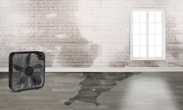  Glencoe, MN Water damage restoration Pros