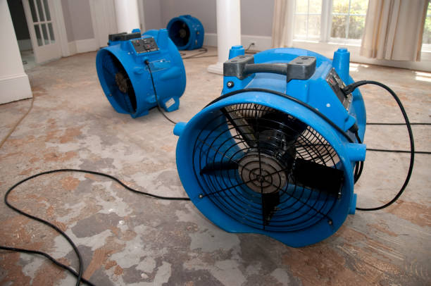 Best Water damage restoration insurance claims  in Glencoe, MN