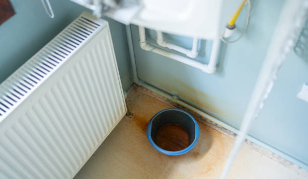 Best Residential water damage restoration  in Glencoe, MN
