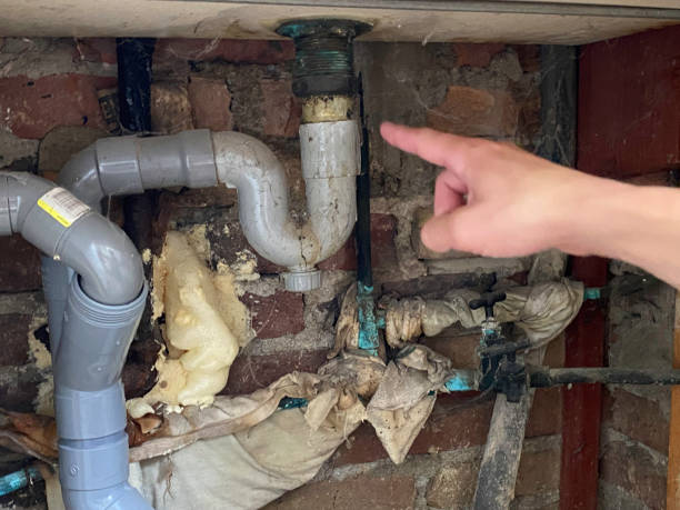 Best Water damage contractors near me  in Glencoe, MN